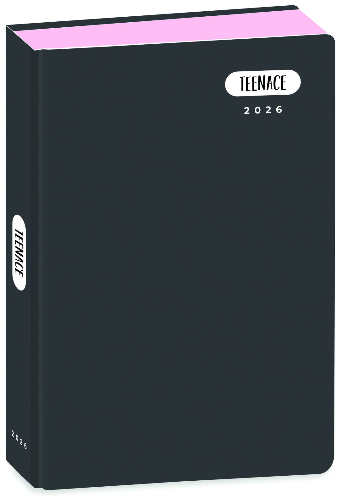 SEVEN DIARIO POKET 12M PASTELLO